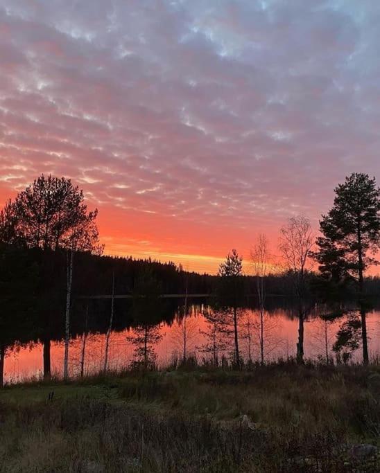 Villa Tuikkula Sotkamo Kültér fotó